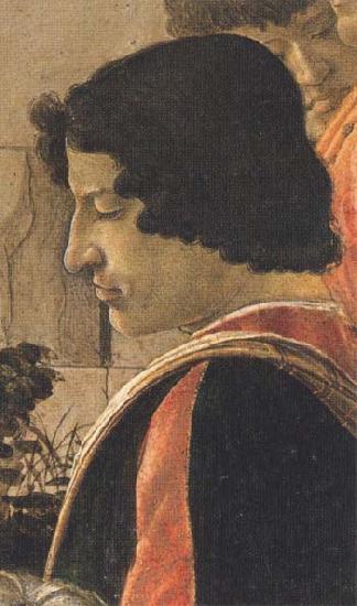 Sandro Botticelli Man in a short black tunic,standing on the right France oil painting art